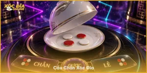 Cầu Chẵn Xóc Đĩa: Hướng Dẫn Luật Chơi Dành Cho Người Mới
