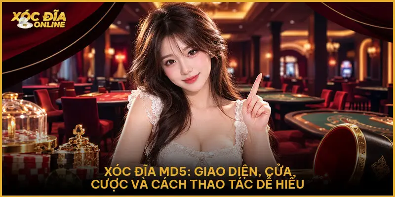 Xóc Đĩa Md5: Giao diện, cửa cược và cách thao tác dễ hiểu